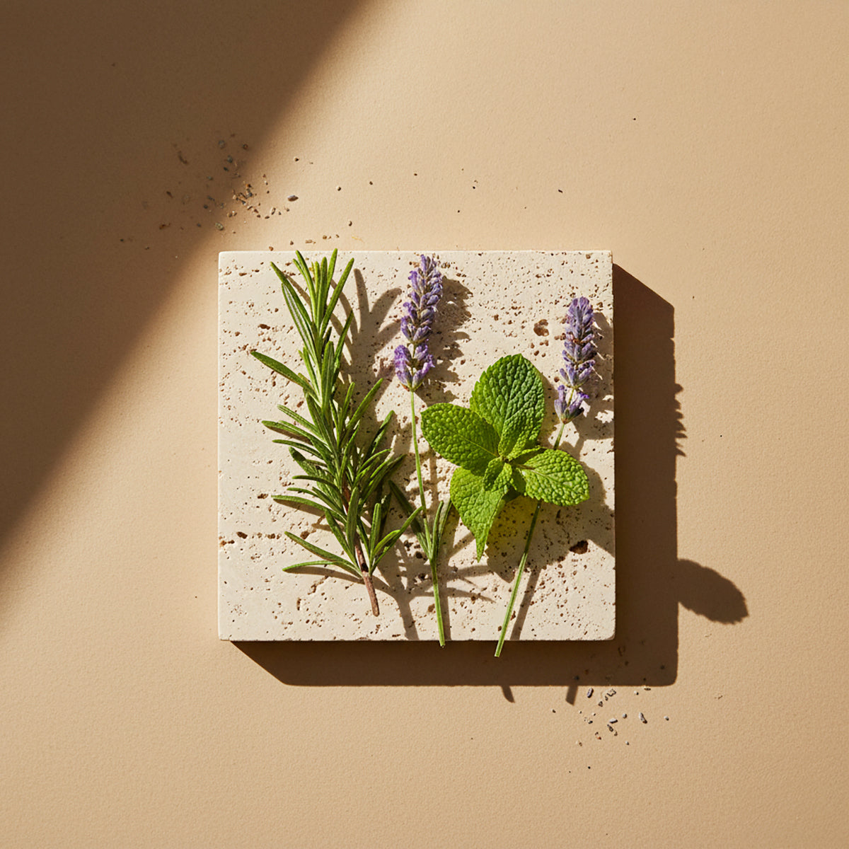 Rosemary and Mint
