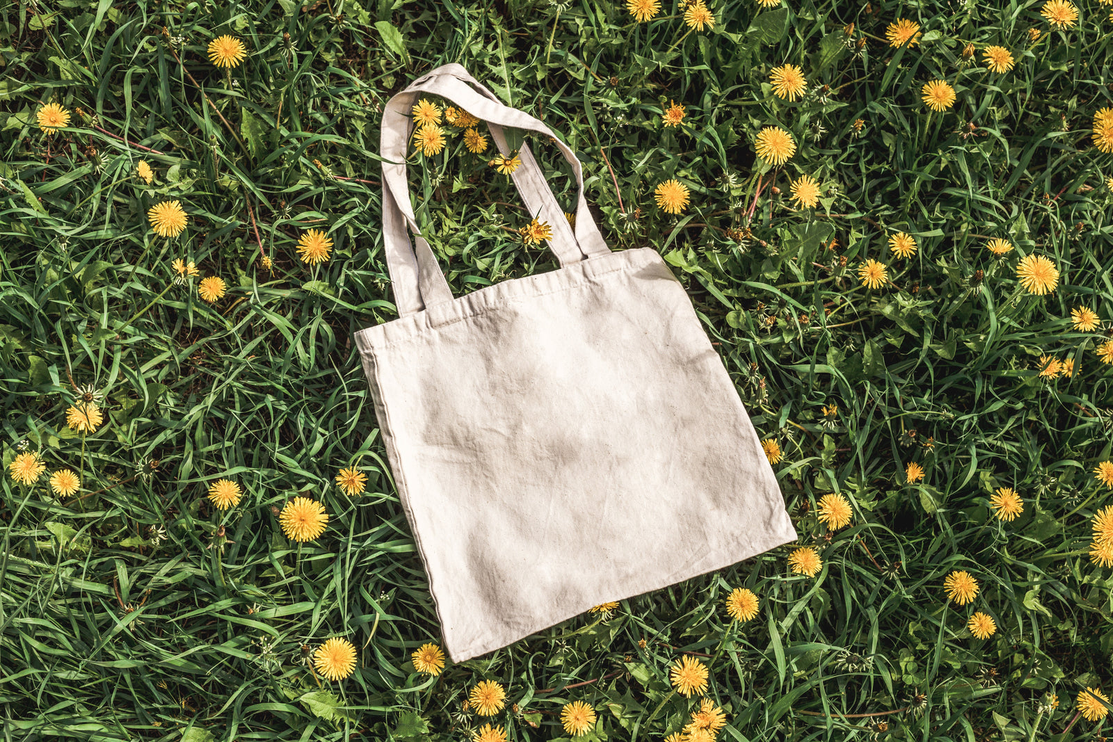 Conscious Consumption: Good VS Goods