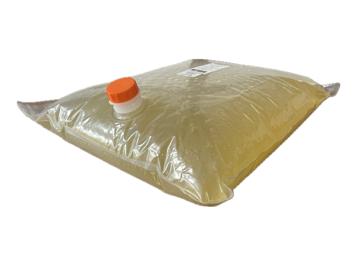 Shampooing Non Parfumé Recharge 9.75L