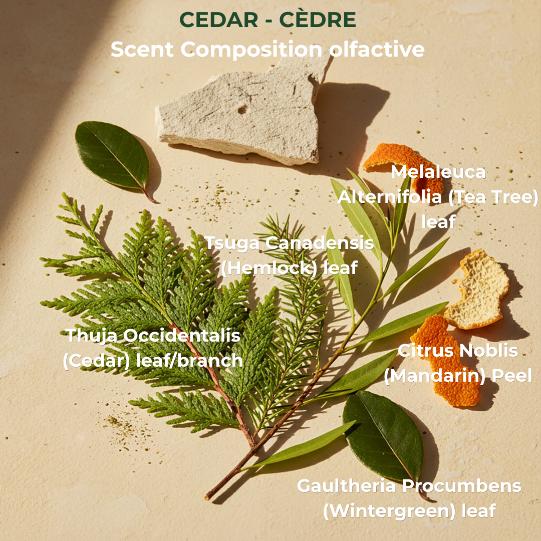 Cedar & Sage Conditioner 500 mL