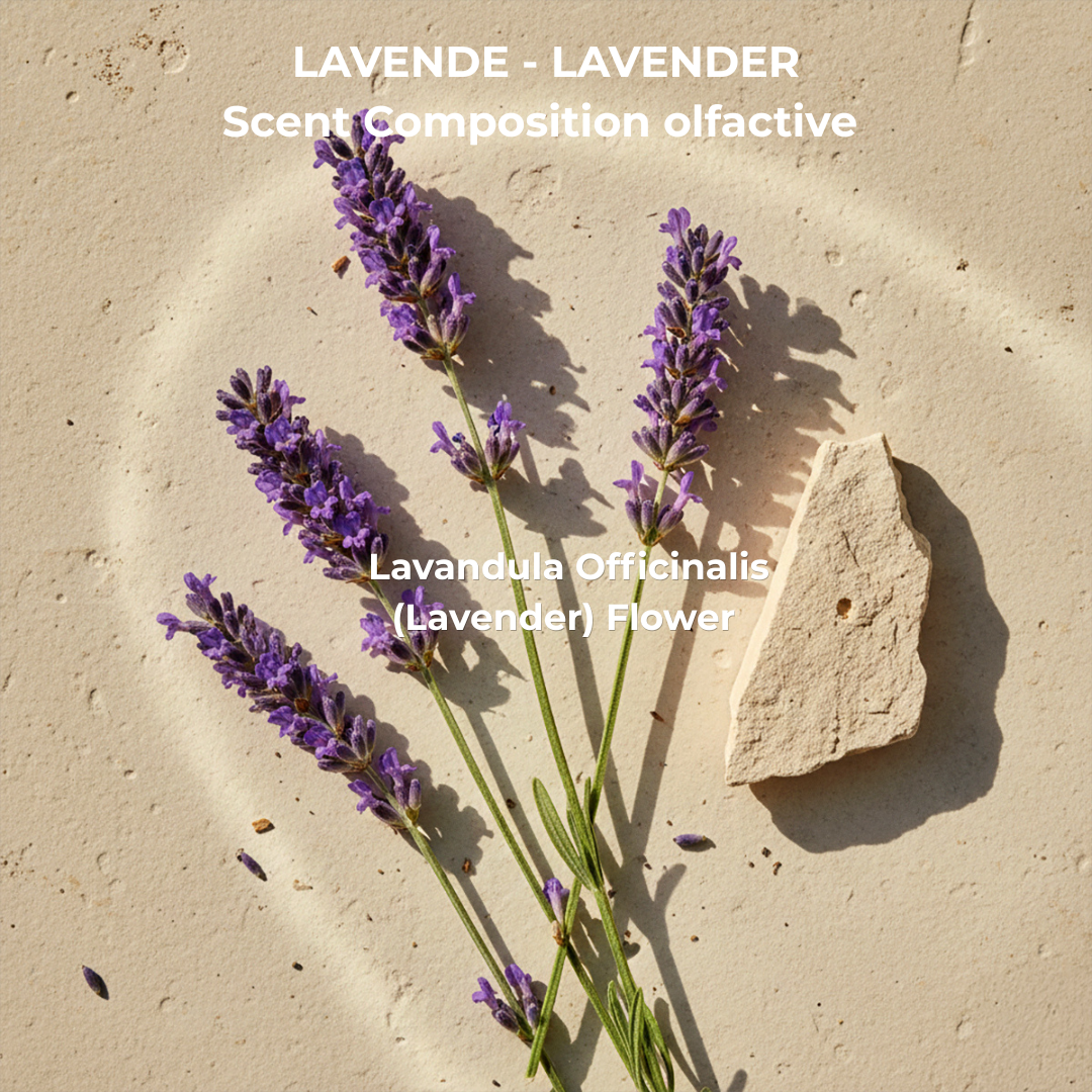 Angelica & Lavender Conditioner 500 mL