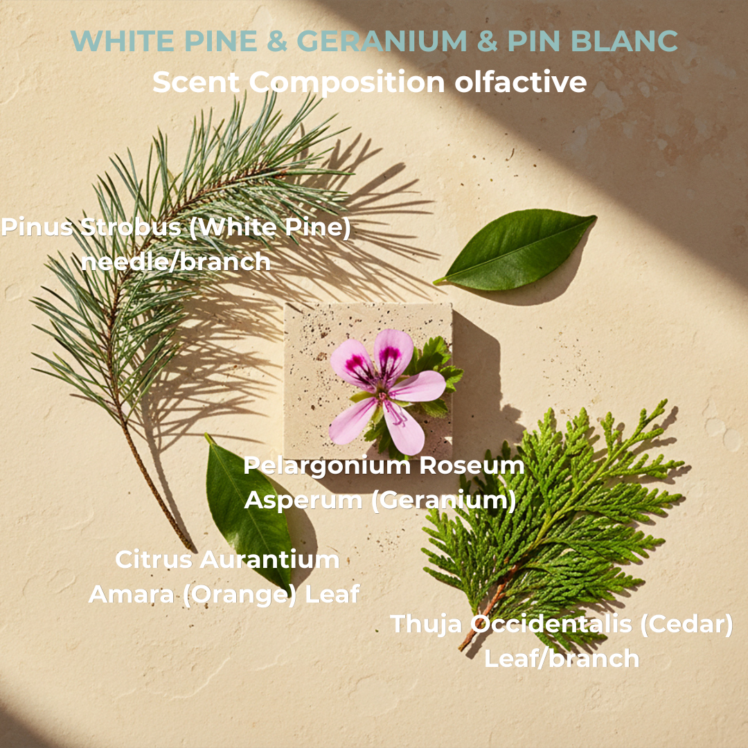 Conditioner Bar White Pine and Geranium